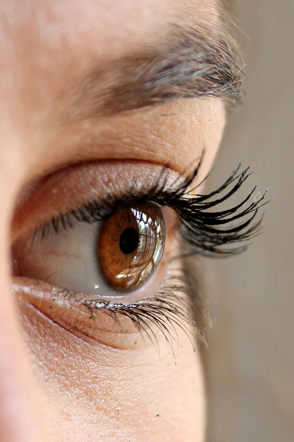 terapia visual